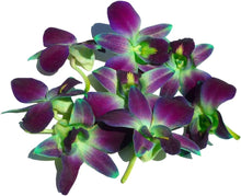 Load image into Gallery viewer, Fresh Orchids food drink decoration (100 DUO GREEN)