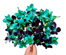 Load image into Gallery viewer, Fresh Orchids food drink decoration (100 DUO GREEN)