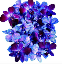 Load image into Gallery viewer, Fresh Orchids food drink decoration (100 DUO GREEN)