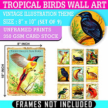 Load image into Gallery viewer, Vintage Tropical Birds Wall Art - (Set of 9) Unframed 8x10 Prints - Antique Exotic Bird Illustration Retro Aesthetic