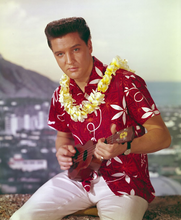 Load image into Gallery viewer, Elvis Vintage Hawaiian Shirt from Blue Hawaii