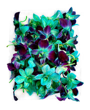 Load image into Gallery viewer, Fresh Orchids food drink decoration (100 DUO GREEN)