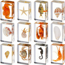 Load image into Gallery viewer, 12 Pcs Resin Sea Creatures