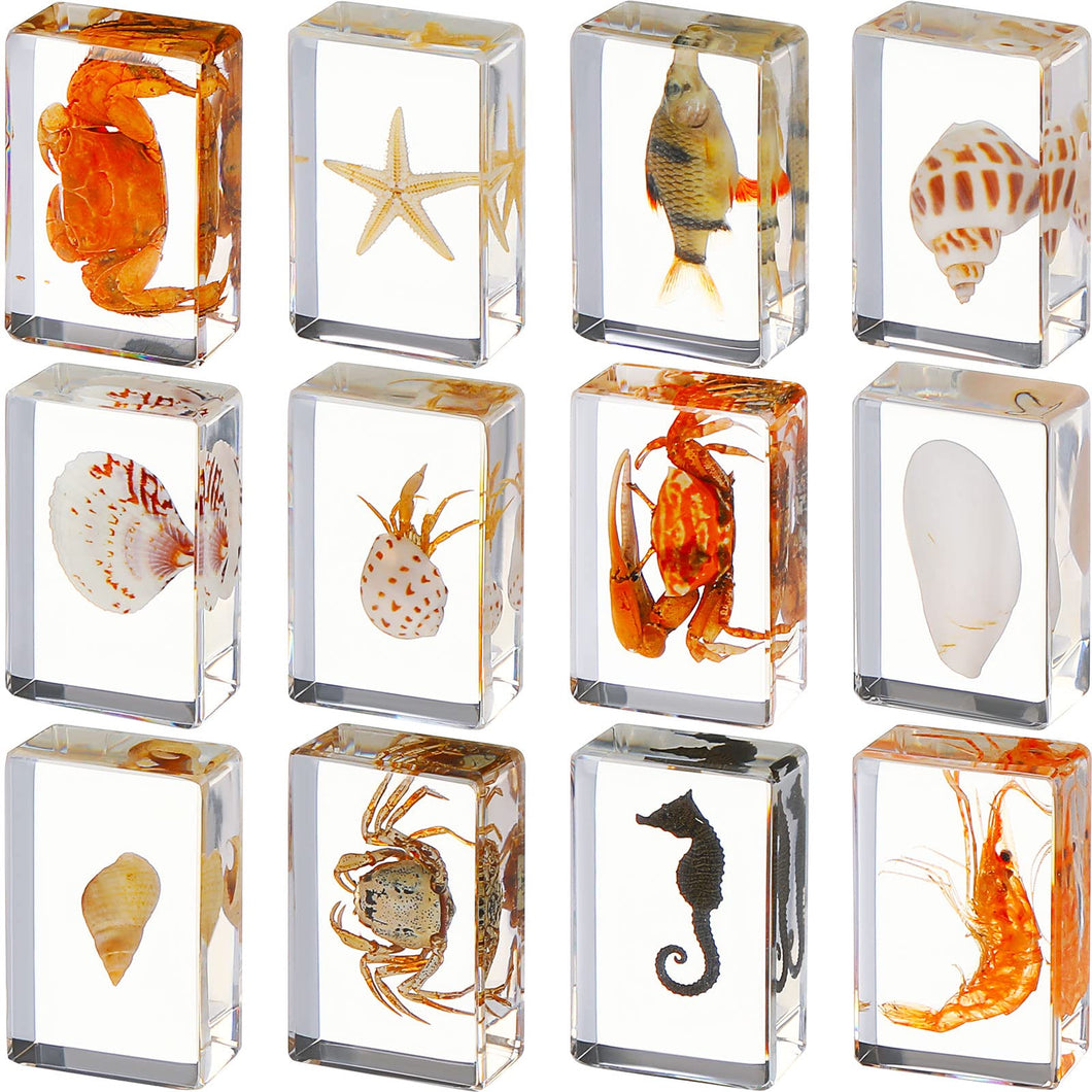 12 Pcs Resin Sea Creatures