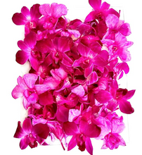 Load image into Gallery viewer, Fresh Orchids food drink decoration (100 DUO GREEN)