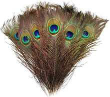 Load image into Gallery viewer, Set of Peacock Feathers 2-6 Cm 40-50cm