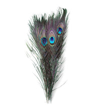 Load image into Gallery viewer, Set of Peacock Feathers 2-6 Cm 40-50cm