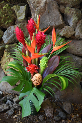 Tropical Flower Arrangements