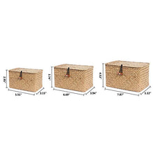 Load image into Gallery viewer, HandWoven Seagrass Baskets with Lid Set of 3