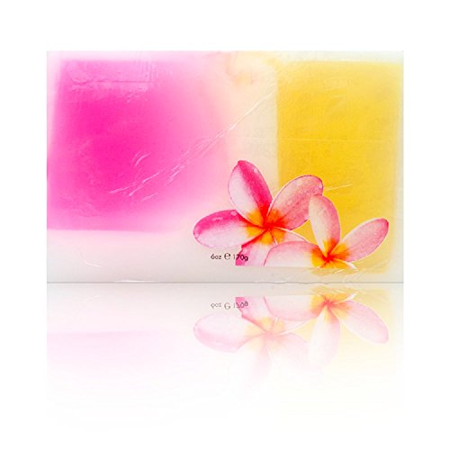 Hawaiian Kukui, Coconut And Tropical Fruit Extract Soap 6 oz (Plumeria)