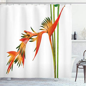 Bird of Paradise Shower Curtain Cloth Fabric Bathroom Decor Set with Hooks, 69" W x 75" L, Green Orange
