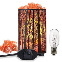 Load image into Gallery viewer, Therapeutic Himalayan Salt Lamp, Forest Salt Lamp, Salt Night Lights, Salt Crystal Light with Retro Metal Basket Lamp and Extra 25W Lamp Bulbs