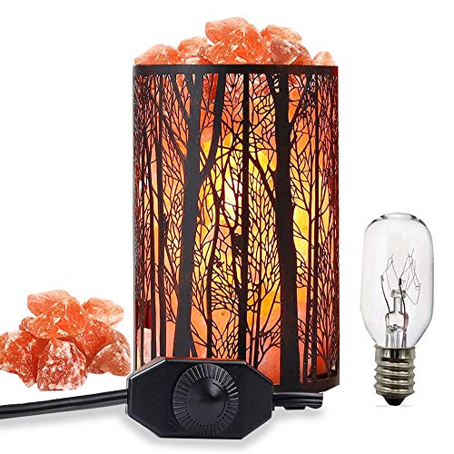 Therapeutic Himalayan Salt Lamp, Forest Salt Lamp, Salt Night Lights, Salt Crystal Light with Retro Metal Basket Lamp and Extra 25W Lamp Bulbs