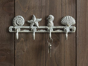 Vintage Seashell Coat Hook Hanger Rustic Cast Iron Wall Hanger w/ 4 Decorative Hooks - Includes Screws and Anchors - in Antique White - Beach House Decor