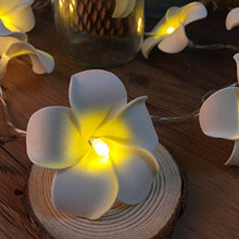 Load image into Gallery viewer, Hawaiian Luau Party Decorations 20 LED Foam Plumeria String Light for Wedding Beach Party
