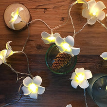 Load image into Gallery viewer, Hawaiian Luau Party Decorations 20 LED Foam Plumeria String Light for Wedding Beach Party