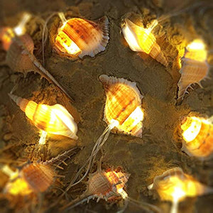 Ocean Real Conch 10 LED String Lights 9.0Ft Waterproof Battery Operated Warm White with Timer Control