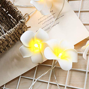 Hawaiian Luau Party Decorations 20 LED Foam Plumeria String Light for Wedding Beach Party