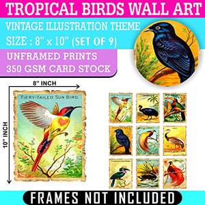 Vintage Tropical Birds Wall Art - (Set of 9) Unframed 8x10 Prints - Antique Exotic Bird Illustration Retro Aesthetic