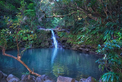 Tropical Waterfall Picture, Waikamoi Falls, Hawaiian Landscape Art: Handmade