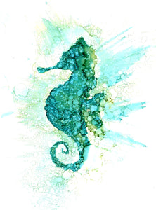 Seahorse : Prints