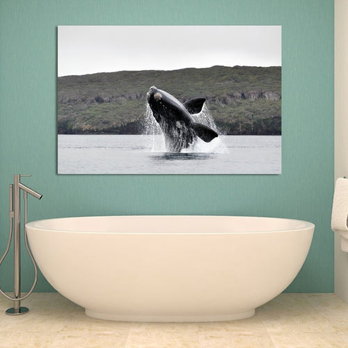 Sea Animal Whale Print Ocean Wall Art Decor