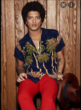 Load image into Gallery viewer, Bruno Mars Midnight Palm Vintage Hawaiian Shirt