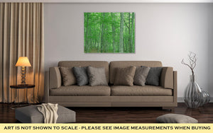 Gallery Wrapped Canvas, Green Forest Nature Landscape