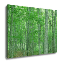 Load image into Gallery viewer, Gallery Wrapped Canvas, Green Forest Nature Landscape