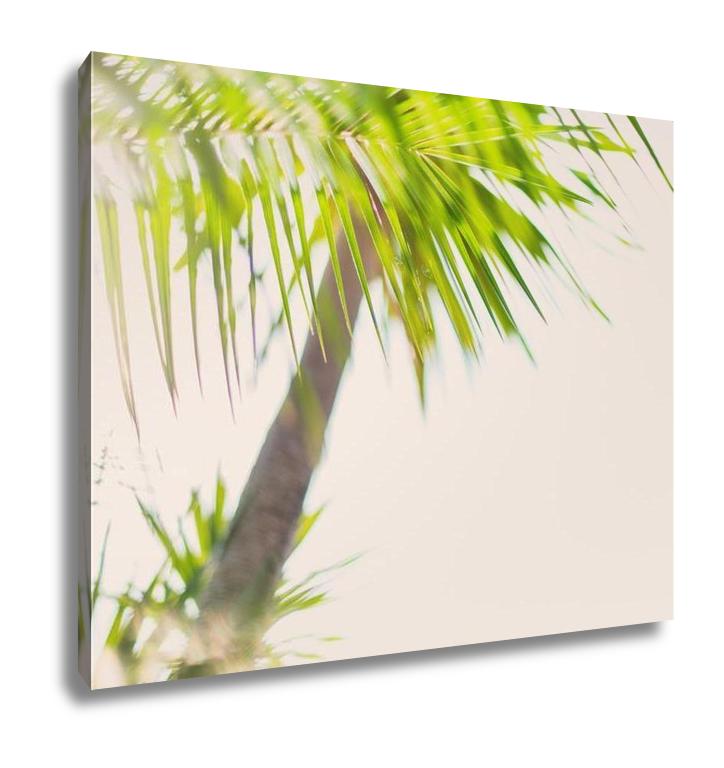 Gallery Wrapped Canvas, Tropical Palm Trees Branches Sun Light